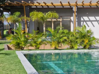 Apartamento com 2 Quartos à venda, 60m² no Bananeiras, Bananeiras