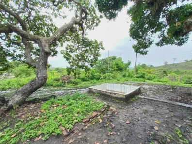 Fazenda / Sítio / Chácara com 11 Quartos à venda, 12800m² no , Pombos