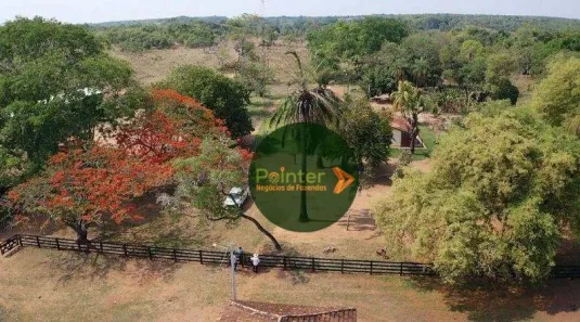 Fazenda / Sítio / Chácara à venda, 5320000m² no Área Rural de Gurupi, Gurupi