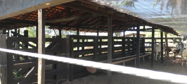 Fazenda / Sítio / Chácara à venda, 300m² no Centro, Itapecuru Mirim