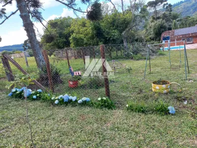 Fazenda / Sítio / Chácara com 2 Quartos à venda, 80m² no Cará-cará, Ponta Grossa