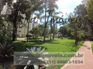 Apartamento com 6 Quartos para venda ou aluguel, 240m² no Umuarama, Osasco