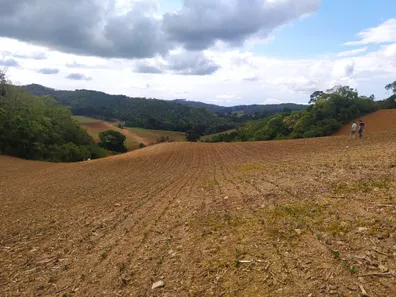 Fazenda / Sítio / Chácara à venda, 48400m² no Pacotuba, Almirante Tamandaré