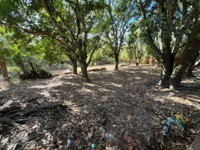 Fazenda / Sítio / Chácara com 5 Quartos à venda, 10000m² no Núcleo Residencial Brasília, Novo Gama