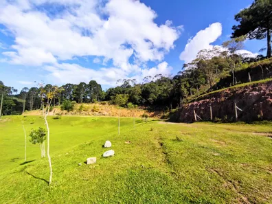 Fazenda / Sítio / Chácara à venda, 72000m² no Colônia Antônio Prado, Almirante Tamandaré