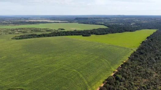 Fazenda / Sítio / Chácara à venda, 2900m² no , Pedro Afonso