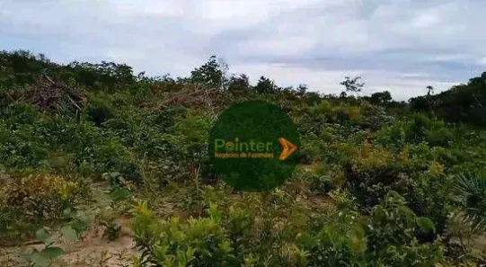 Fazenda / Sítio / Chácara à venda, 4410450m² no , Ponte Alta do Tocantins