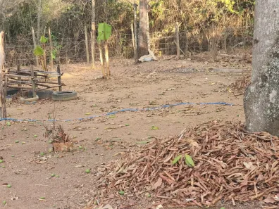 Fazenda / Sítio / Chácara com 2 Quartos à venda, 10000m² no , Brasília