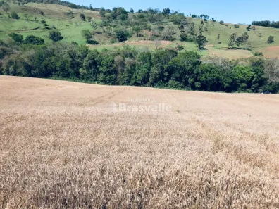 Fazenda / Sítio / Chácara à venda, 20000m² no , Catanduvas