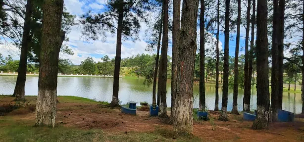 Fazenda / Sítio / Chácara com 2 Quartos à venda, 100m² no Carafá, Votorantim