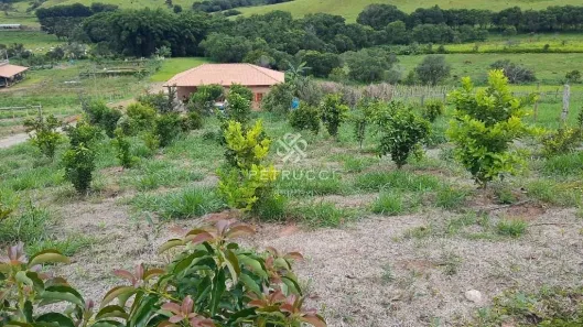 Fazenda / Sítio / Chácara com 2 Quartos à venda, 5938m² no Bom Destino, Santa Luzia
