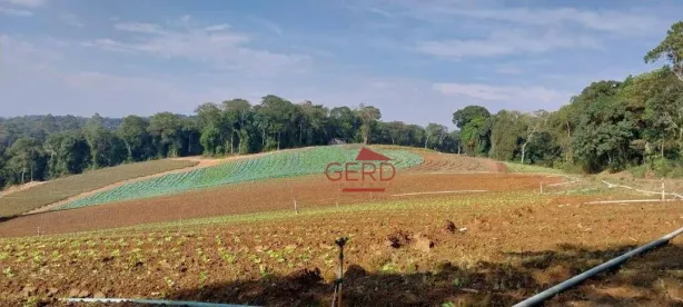 Terreno / Lote / Condomínio à venda, 81335m² no Jardim São Marcos, Itapevi
