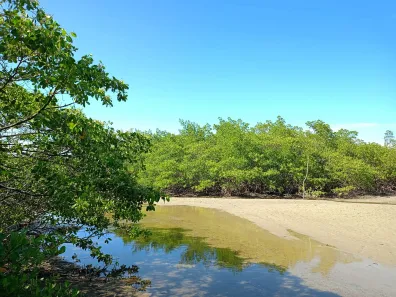 Terreno / Lote / Condomínio à venda, 471m² no , Itaparica