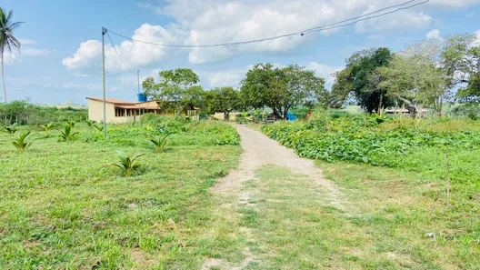 Fazenda / Sítio / Chácara com 5 Quartos à venda, 20m² no Centro, Conceição da Feira