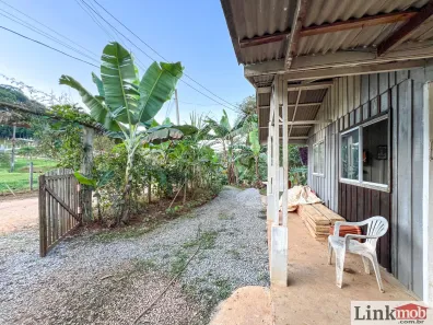 Fazenda / Sítio / Chácara com 3 Quartos à venda, 3000m² no , Antonina
