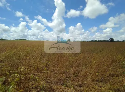 Fazenda / Sítio / Chácara com 1 Quarto à venda, 211m² no , Formoso do Araguaia