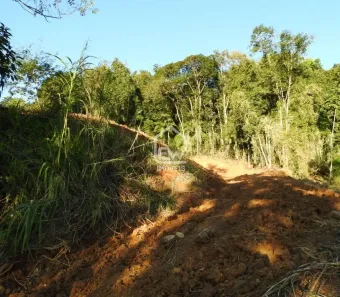 Terreno / Lote / Condomínio com 1 Quarto à venda, 26487m² no , Massaranduba