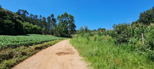 Terreno / Lote / Condomínio à venda, 24200m² no Centro, Campo Magro