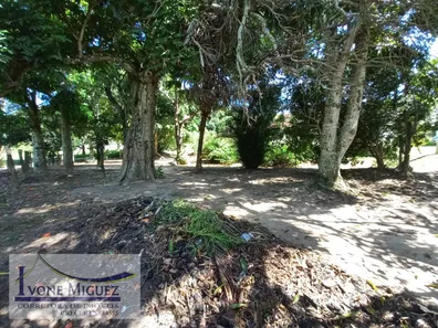 Fazenda / Sítio / Chácara com 4 Quartos à venda, 100m² no Horizonte, Paty do Alferes