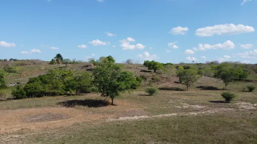 Fazenda / Sítio / Chácara à venda, 170m² no , Passira