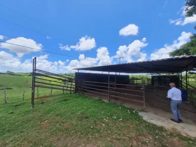 Fazenda / Sítio / Chácara à venda, 304920m² no Centro, Mata de São João