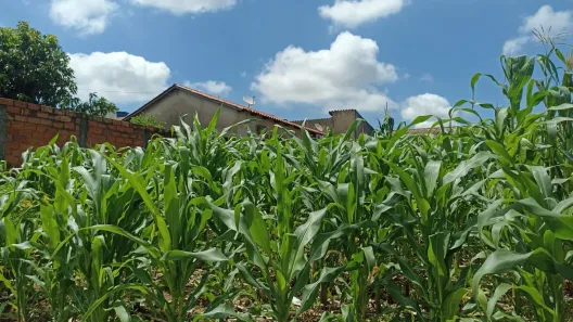 Terreno / Lote / Condomínio à venda, 300m² no Solar Monte Cristo, Senador Canedo