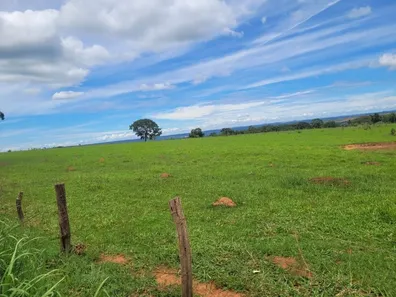 Fazenda / Sítio / Chácara com 5 Quartos à venda, 53m² no Área Rural de Santo Antônio do Descoberto, Santo Antônio do Descoberto
