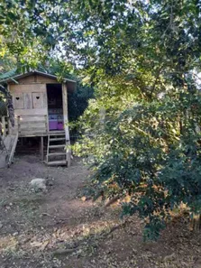 Fazenda / Sítio / Chácara com 5 Quartos à venda, 1350m² no Praia Rasa, Armação dos Búzios