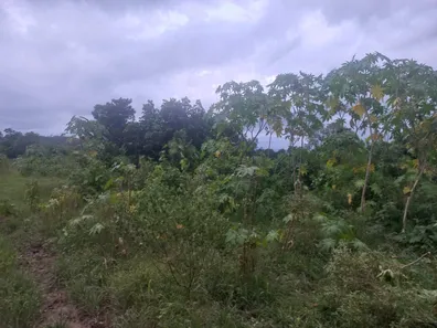 Fazenda / Sítio / Chácara à venda, 110000m² no Papucaia, Cachoeiras de Macacu