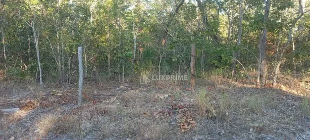 Fazenda / Sítio / Chácara à venda, 1190278m² no Jardim Brasilia I, Ponte Alta do Tocantins