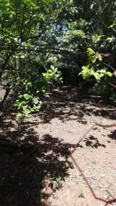 Terreno / Lote / Condomínio à venda, 1200m² no Chácara Ipês, Caçapava