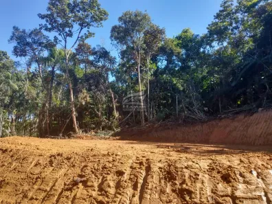 Terreno / Lote / Condomínio à venda, 44463m² no , São Pedro de Alcântara
