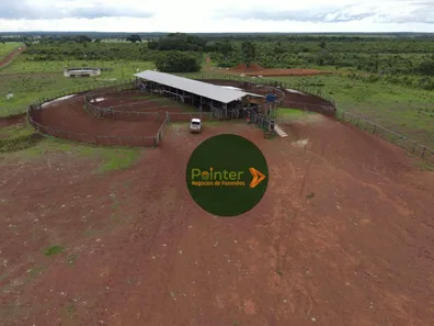 Fazenda / Sítio / Chácara com 3 Quartos à venda, 49029200m² no , Lagoa da Confusão