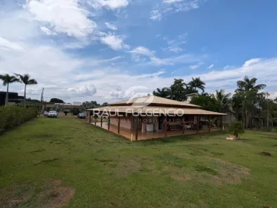 Fazenda / Sítio / Chácara com 2 Quartos à venda, 290m² no Recanto Santa Andréa, Cambé
