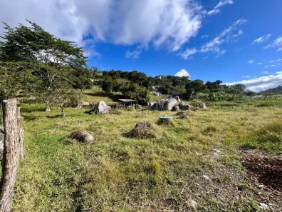 Fazenda / Sítio / Chácara com 6 Quartos à venda, 42000m² no Serra Negra, Bezerros