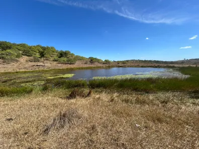 Fazenda / Sítio / Chácara com 2 Quartos à venda, 90000m² no , Sairé