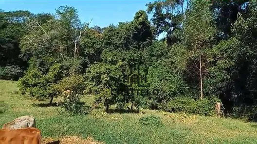 Fazenda / Sítio / Chácara com 3 Quartos à venda, 160m² no , Bela Vista do Paraíso
