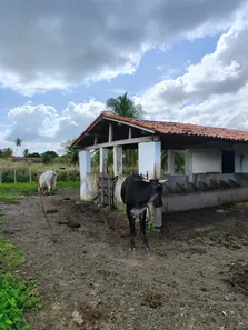 Fazenda / Sítio / Chácara com 4 Quartos à venda, 400000m² no , Vera Cruz