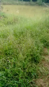 Fazenda / Sítio / Chácara com 2 Quartos à venda, 72600m² no Centro, Laranjal Paulista