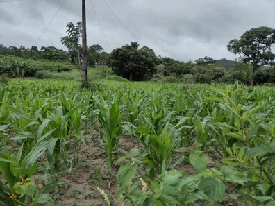 Terreno / Lote / Condomínio à venda, 20000m² no , Fortuna de Minas