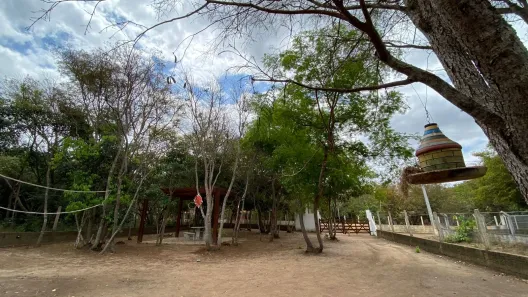 Fazenda / Sítio / Chácara com 3 Quartos à venda, 120m² no Área Rural de Crato, Crato
