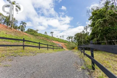Fazenda / Sítio / Chácara com 1 Quarto à venda, 20000m² no Itaboa, Campo Largo