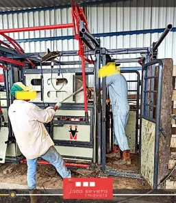 Fazenda / Sítio / Chácara à venda, 3291200m² no , Cristalândia
