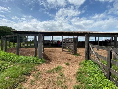 Fazenda / Sítio / Chácara à venda no , Guaraí