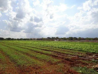 Terreno / Lote / Condomínio à venda, 19200m² no Ponte Alta Norte, Brasília