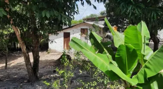 Fazenda / Sítio / Chácara com 2 Quartos à venda, 340m² no , Conde