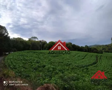 Fazenda / Sítio / Chácara com 1 Quarto à venda, 20000m² no Felpudo, Campo Largo