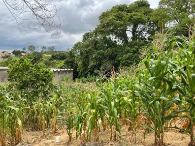 Terreno / Lote / Condomínio à venda, 1050m² no Bosque dos Pinheiros, Capivari