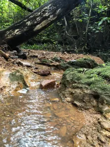 Fazenda / Sítio / Chácara com 3 Quartos à venda, 14000m² no , Brasília