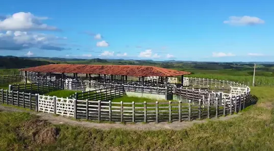 Fazenda / Sítio / Chácara à venda, 100000m² no , Quipapá